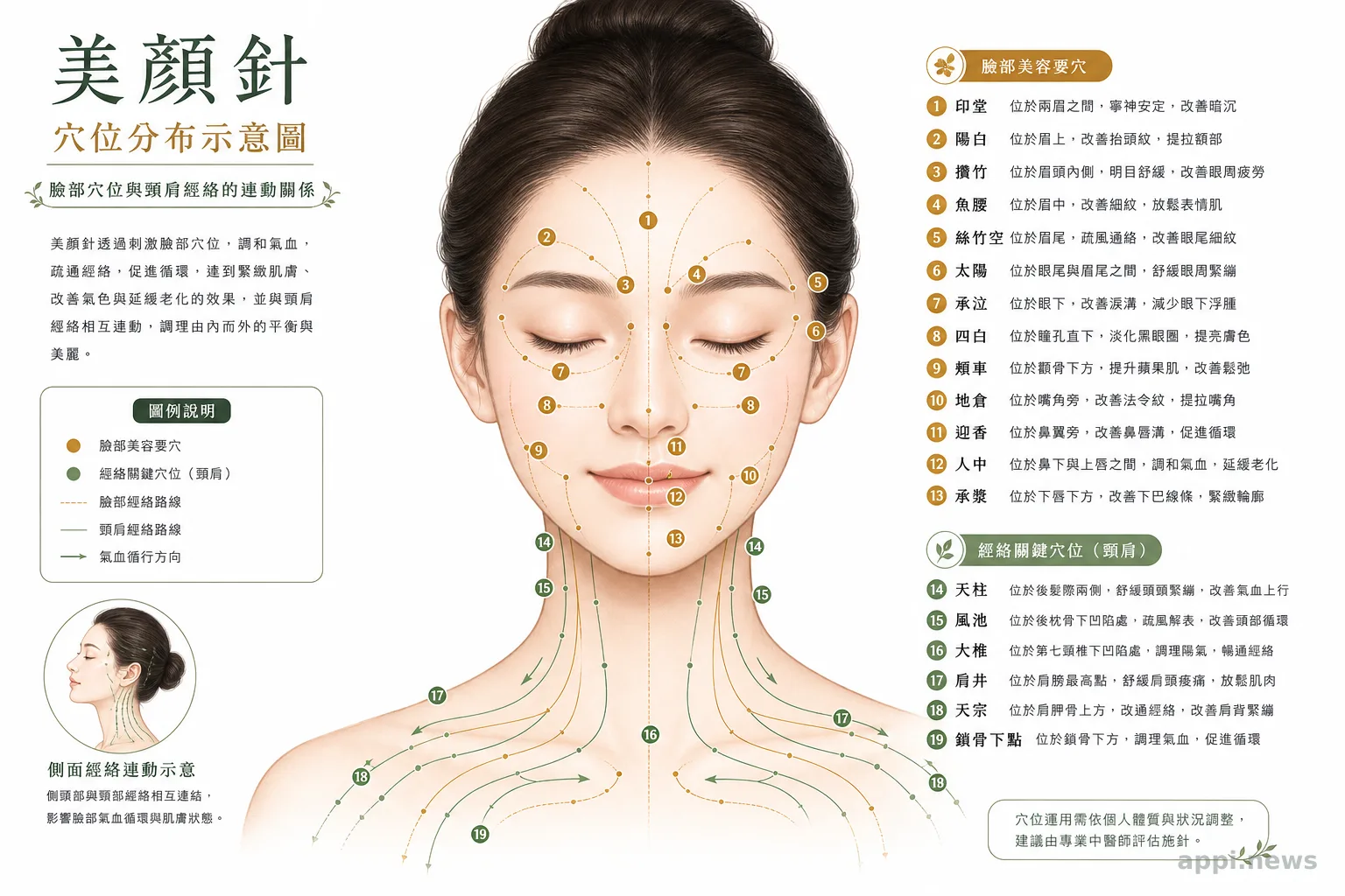 美顏針穴位分布示意圖，呈現臉部穴位與頸肩經絡的連動關係