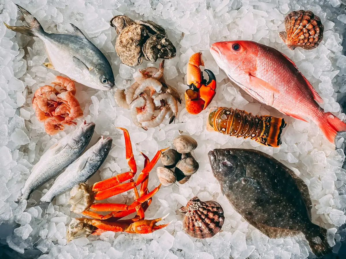 市場冰鮮魚貨陳列的食品安全主題示意
