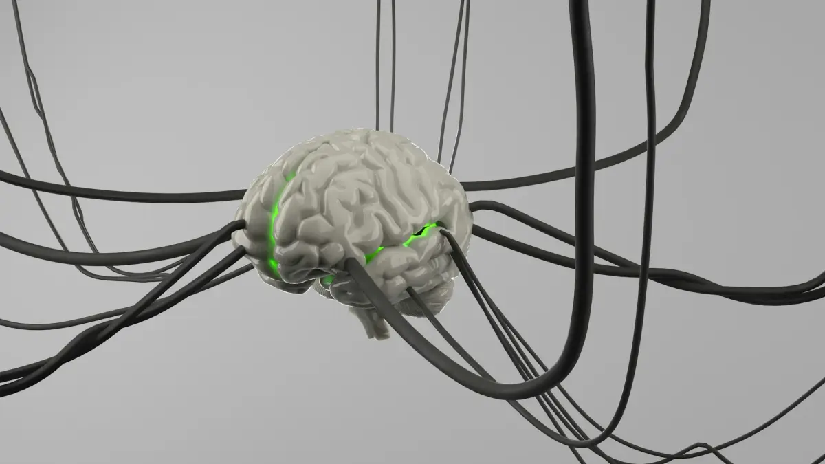 白灰色3D電腦繪圖大腦模型懸浮於淺灰色背景，多條黑色電線插入大腦，腦部呈現綠色發光條紋，象徵神經連接與訊號傳導
