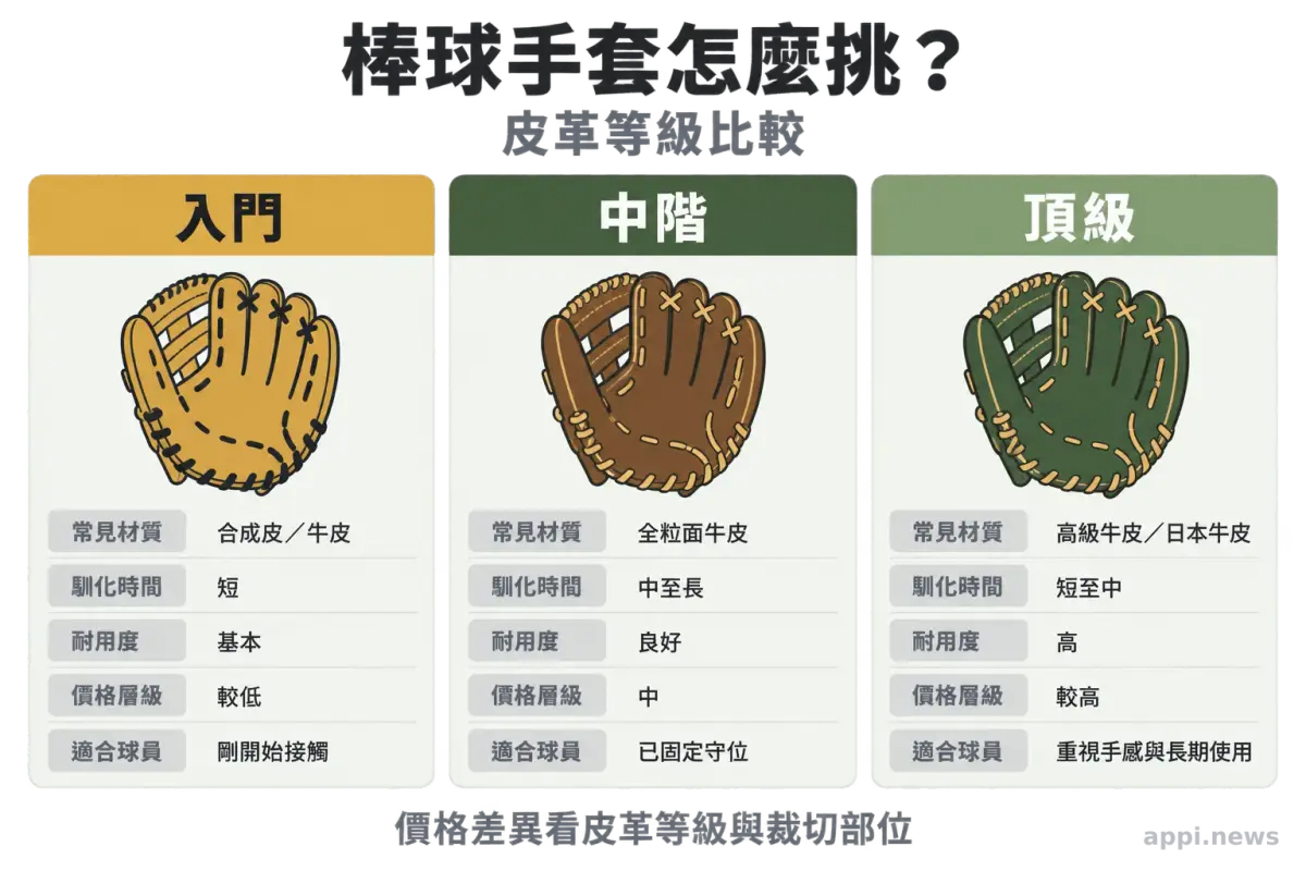 棒球手套馴化的五個步驟流程圖，包含鬆開皮革、薄塗護理油、放球固定、反覆傳接與季節保養