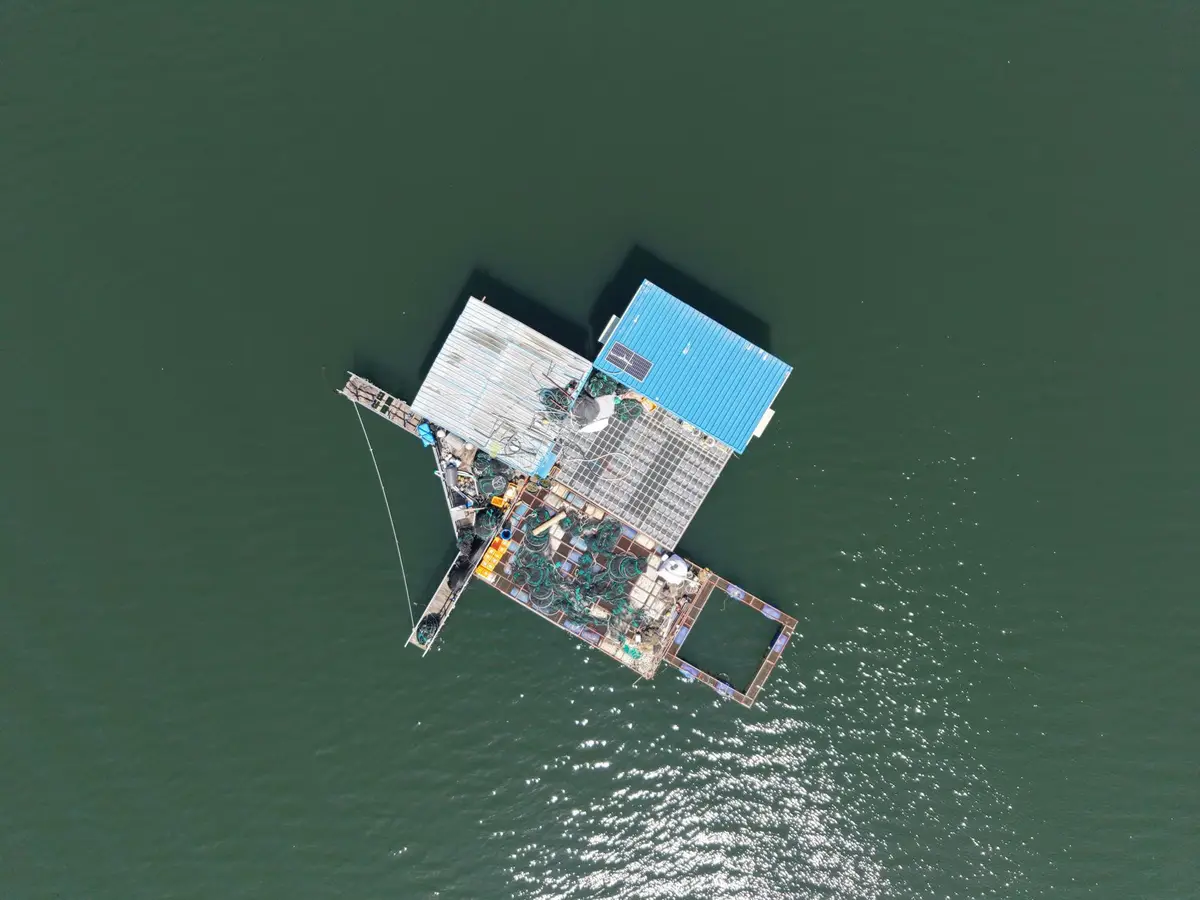 水面上的水產養殖作業平台與魚塭場景示意圖