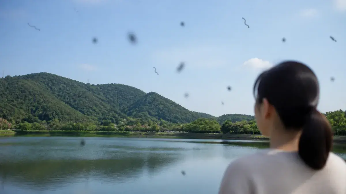 眼前有黑點漂浮、飛蚊症示意