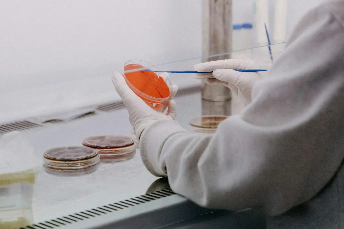 顯微鏡下腸道微生物研究情境示意