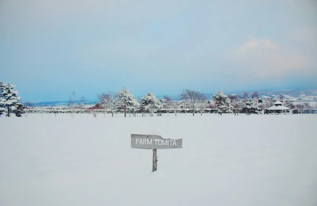 北海道雪季戶外景觀，白雪覆蓋的旅遊景致