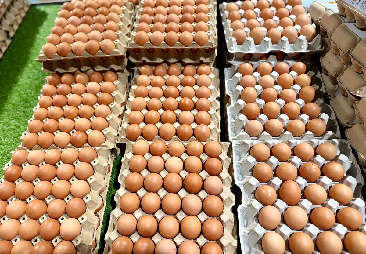 超市購物車中的雞蛋、食用油與生鮮食材示意圖