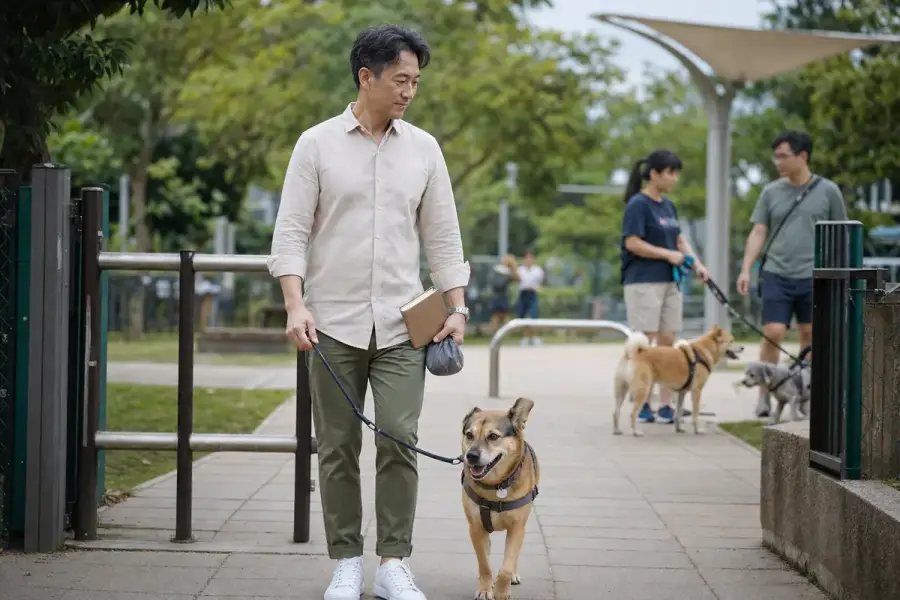 飼主在狗狗公園牽繩帶狗散步，象徵養狗的公共責任（示意圖）