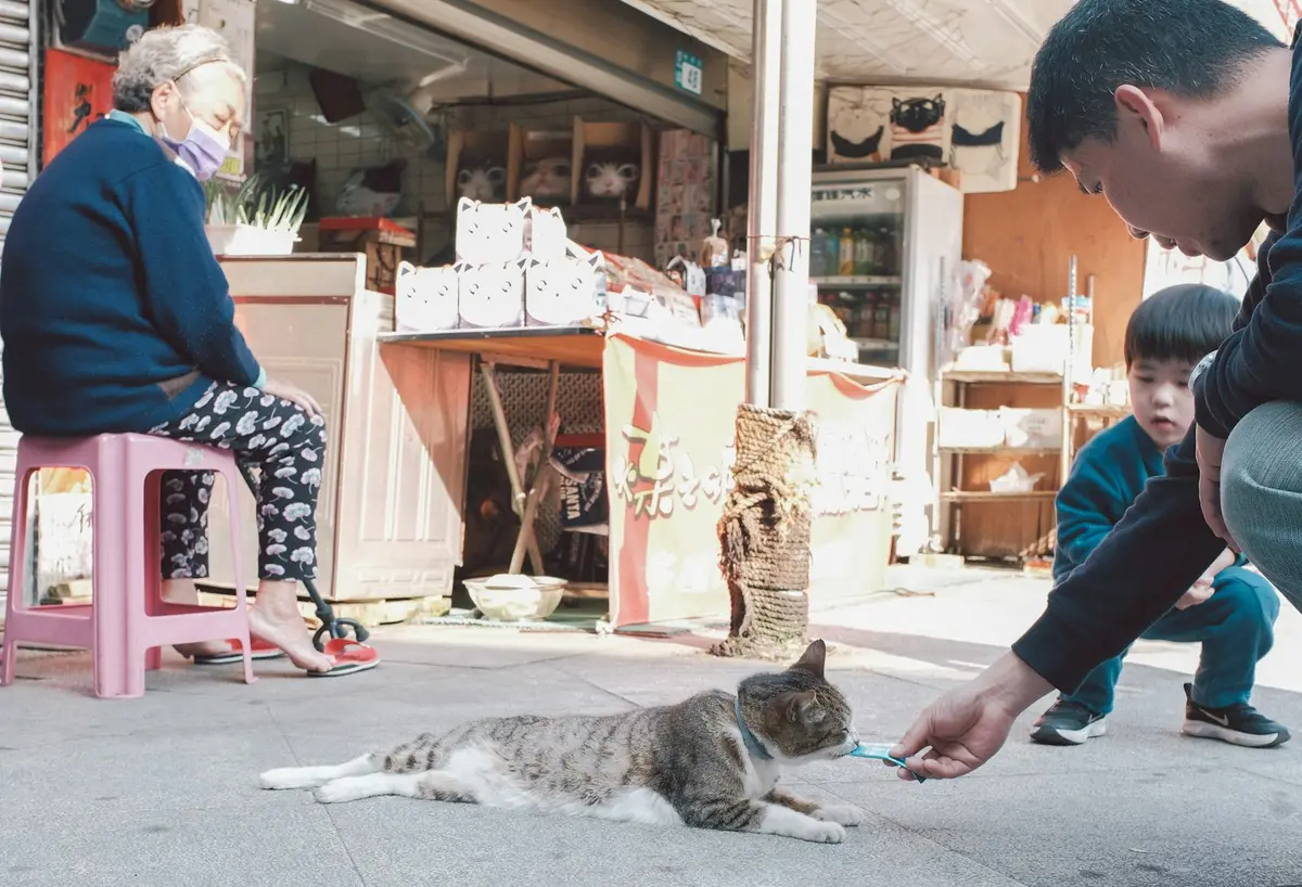 飼主在動物收容所櫃檯辦理認養手續，身旁有一隻狗與一隻貓