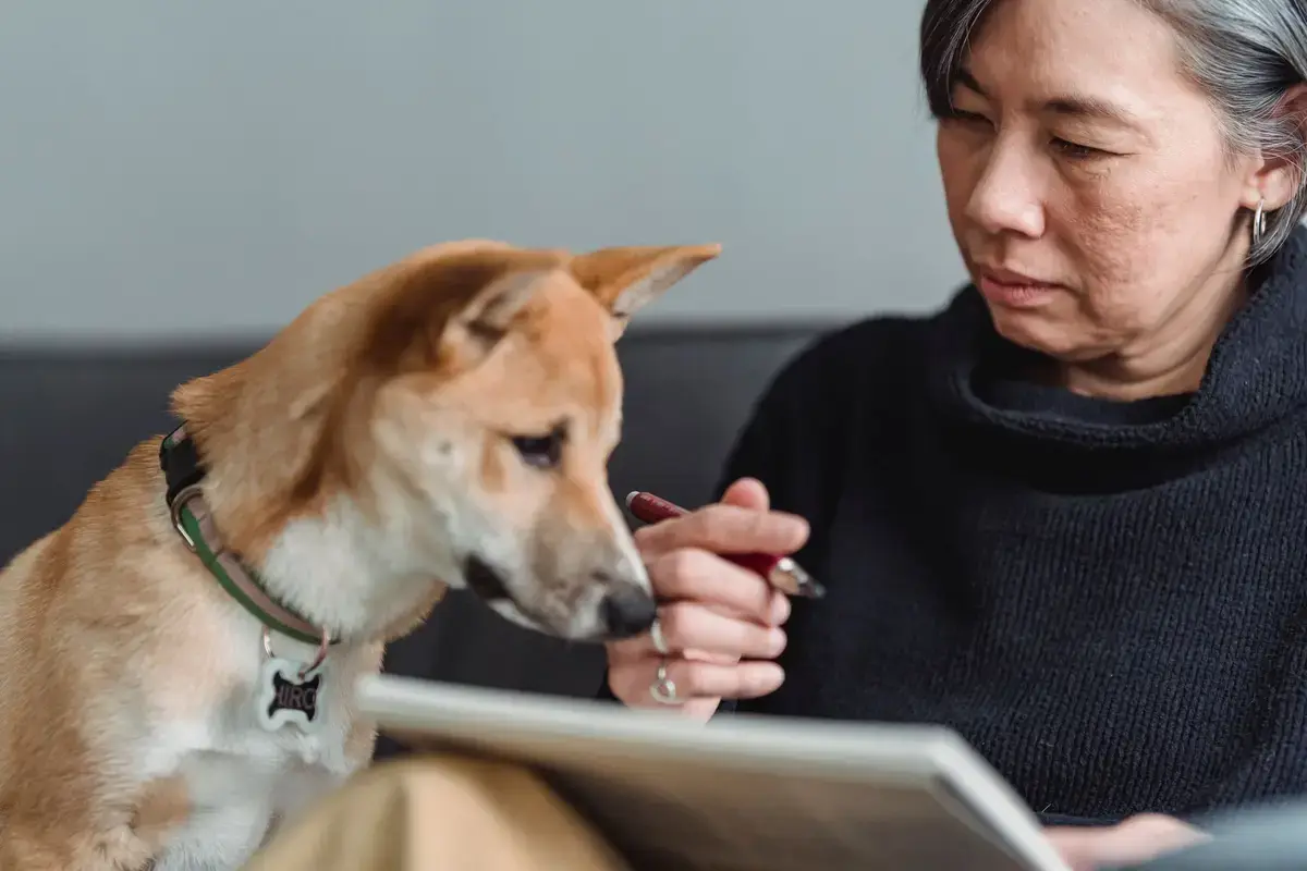 飼主在家查看寵物保險條款與醫療收據
