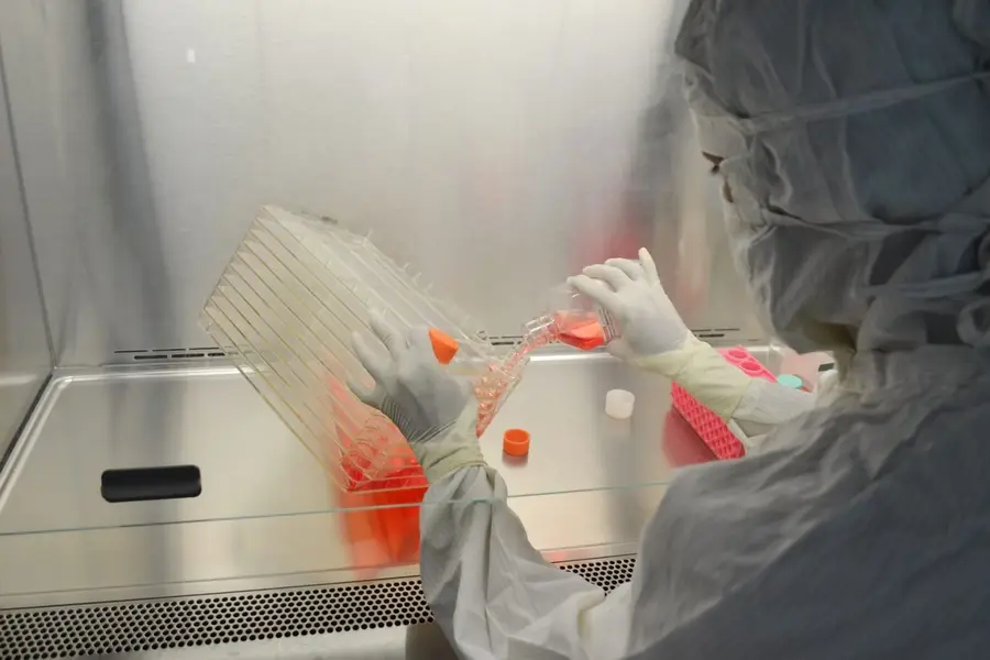 全副防護裝備的科學家在實驗室進行細胞培養研究