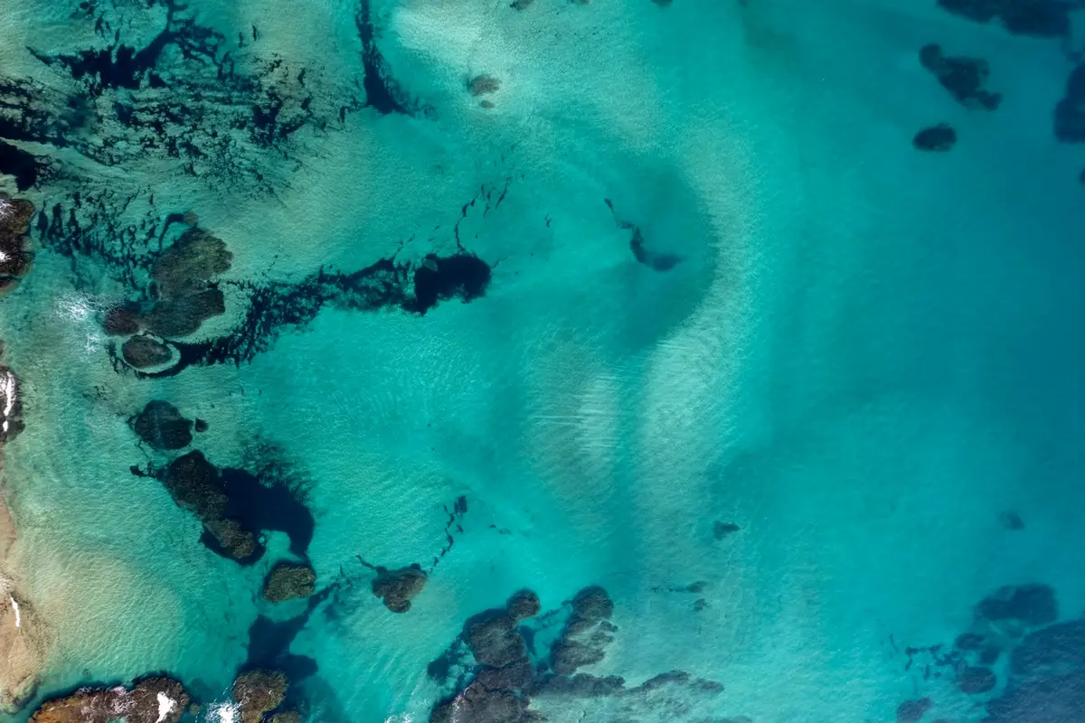熱帶海岸局部海水呈現綠色的海面示意圖