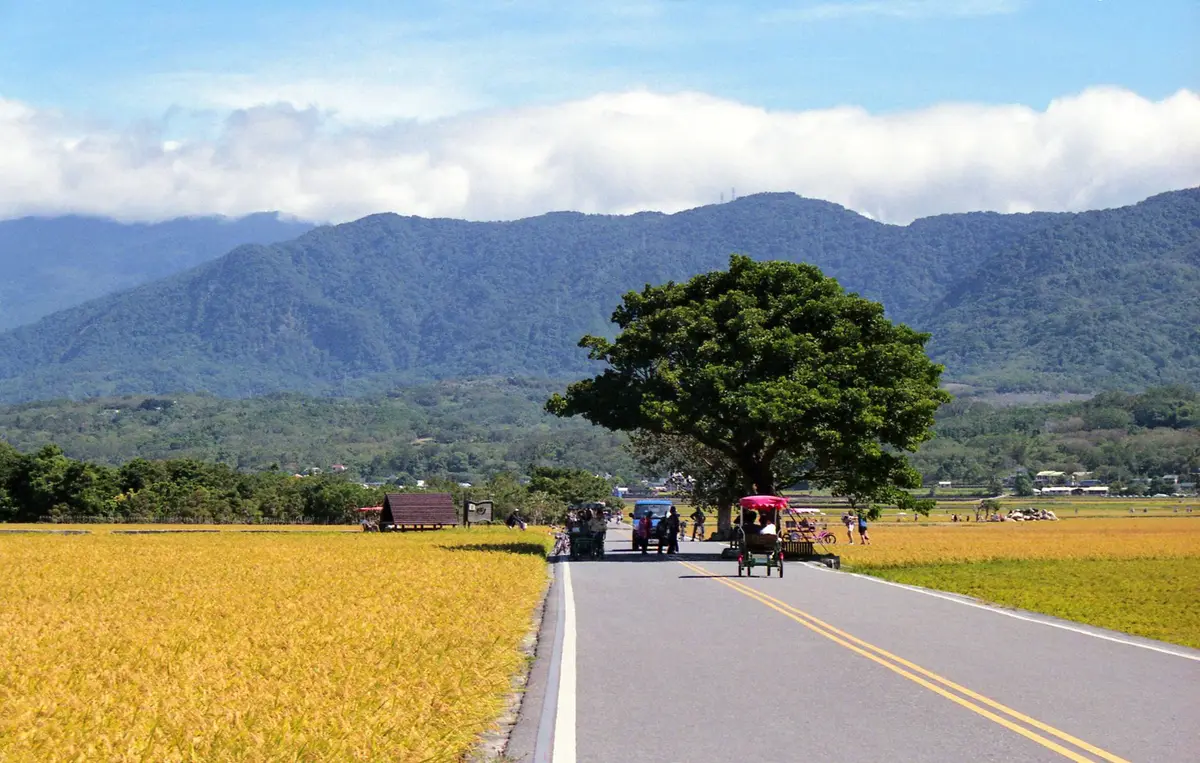 嘉南平原稻田與鄉間道路的旅遊示意圖