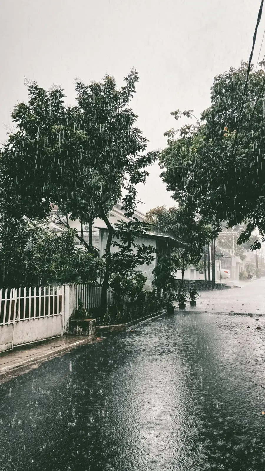 颱風強降雨下積水的城市街道