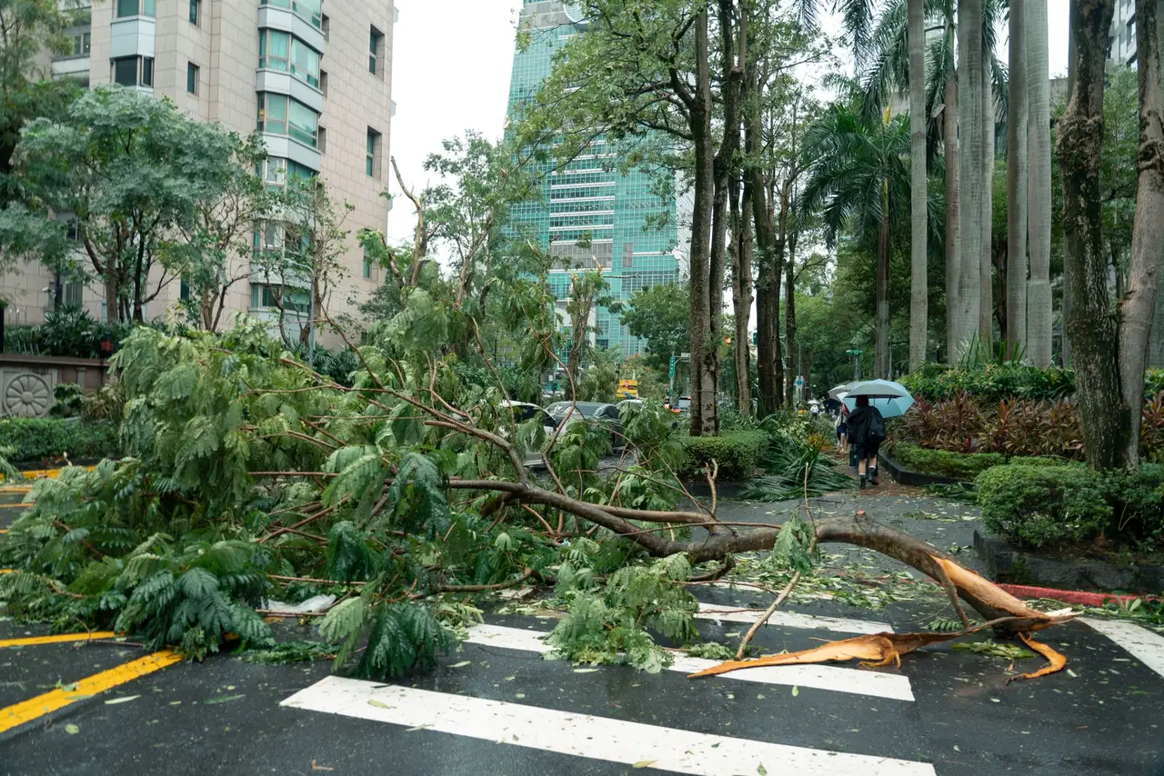 颱風強降雨下積水的城市街道