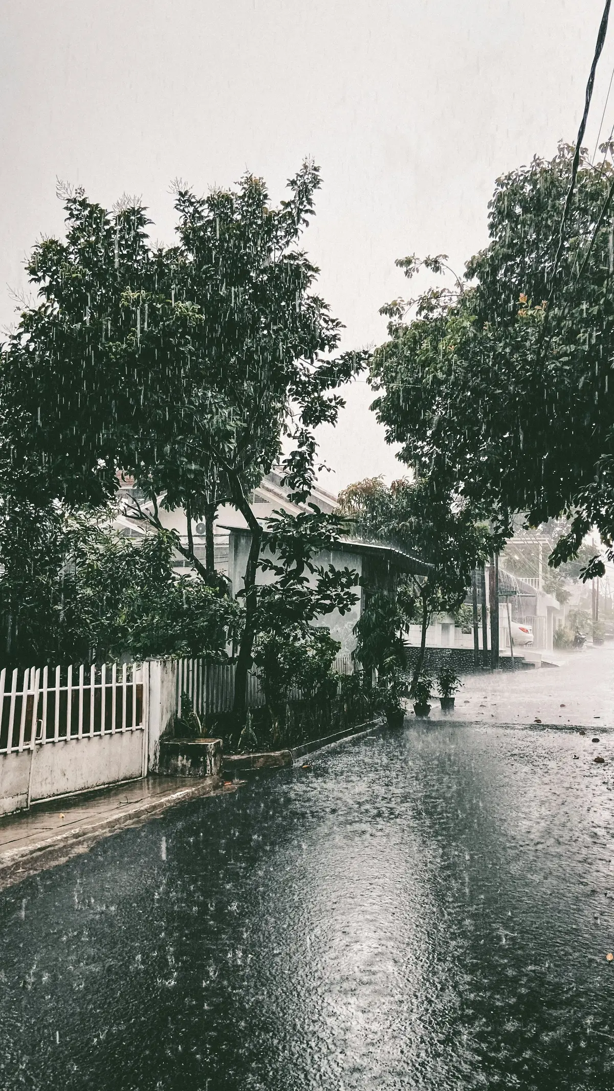 颱風強降雨下積水的城市街道