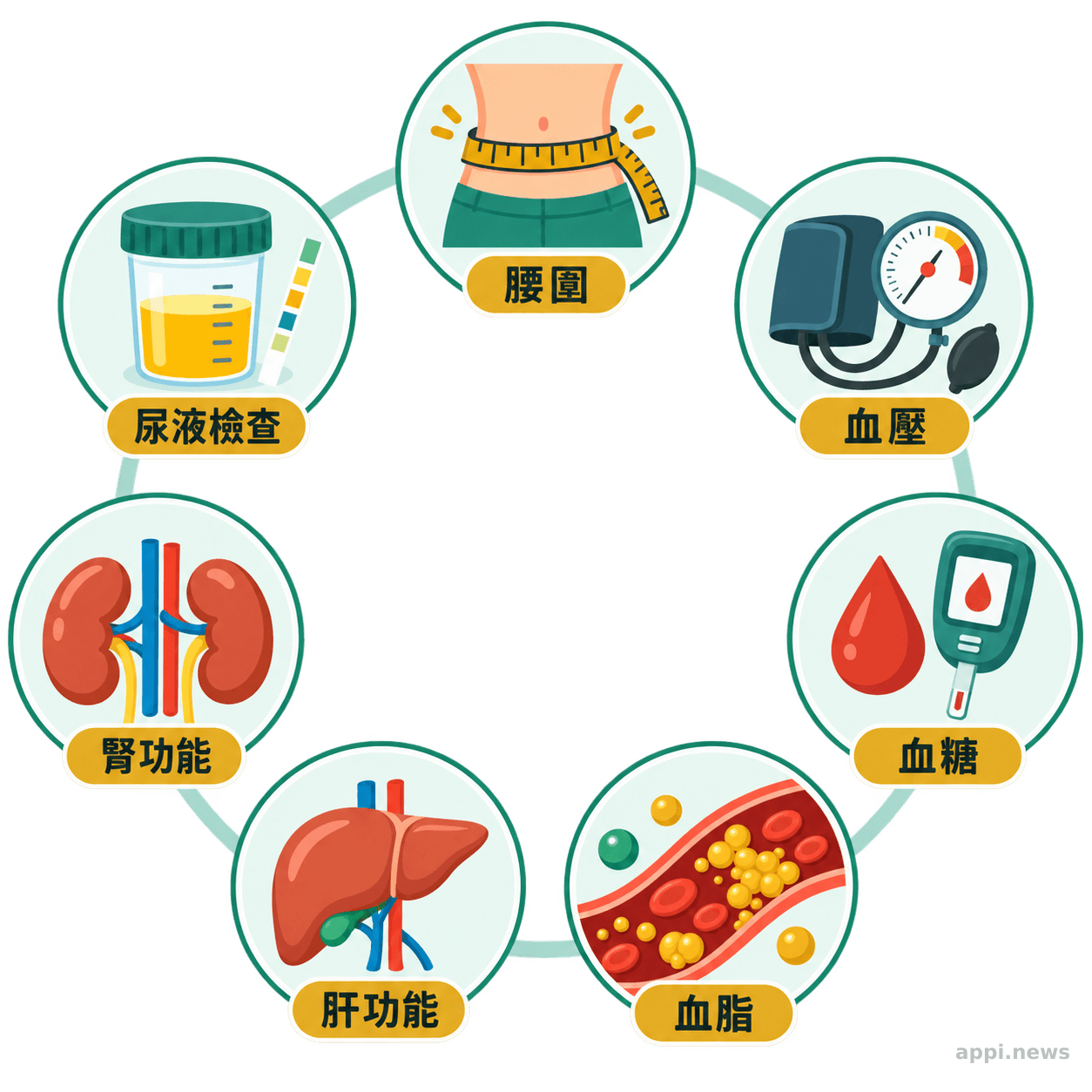 成人健檢涵蓋腰圍、血壓、血糖、血脂、肝腎功能與尿液檢查示意