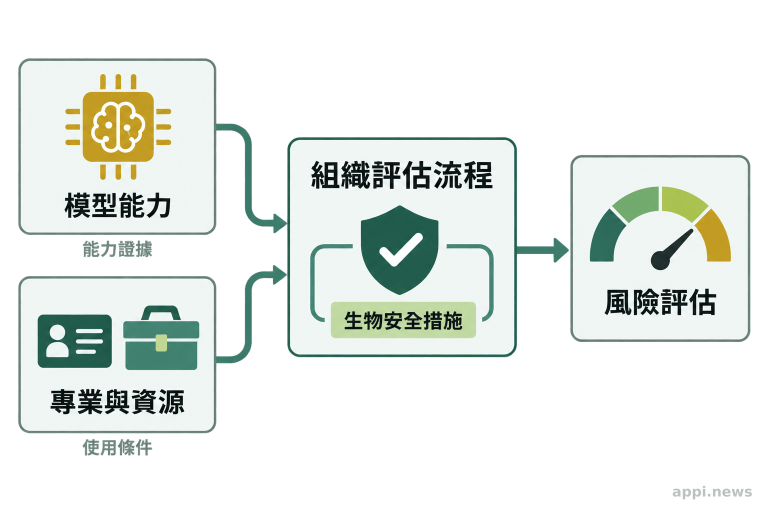 模型能力與使用者專業、工具資源可取得性進入組織流程,並由生物安全措施共同影響風險評估結果。