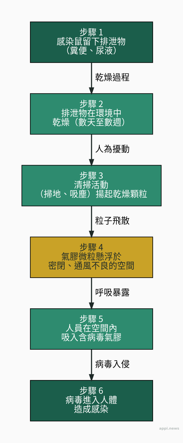 漢他病毒傳播路徑圖：感染鼠留排泄物→乾燥→清掃揚起→氣膠懸浮密閉空間→人吸入→感染
