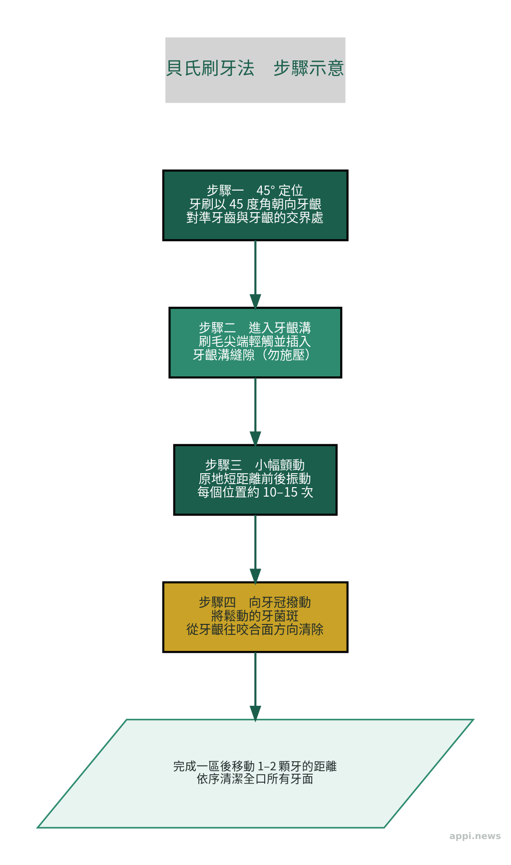 貝氏刷牙法步驟圖示：牙刷以45度角對準牙齦線，刷毛進入牙齦溝後小幅顫動，再向牙冠方向撥動清除牙菌斑