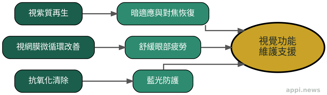 花青素護眼三大機制示意圖：視紫質再生、視網膜循環改善、抗氧化防護