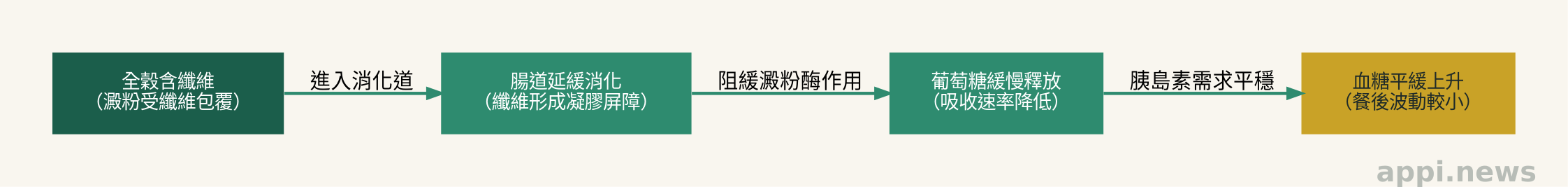 全穀類膳食纖維影響血糖的機制示意圖：纖維包覆澱粉、延緩腸道吸收、血糖平緩上升