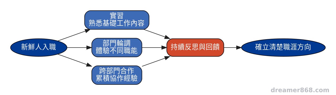 新鮮人透過實習、輪調、跨部門合作三種路徑逐步確認職涯方向的流程示意圖
