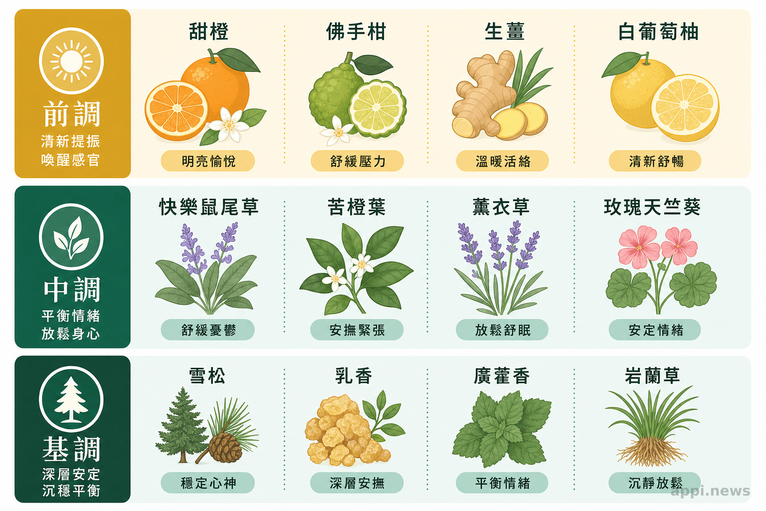 前調、中調、基調精油分層示意圖，列出各層代表精油與功能