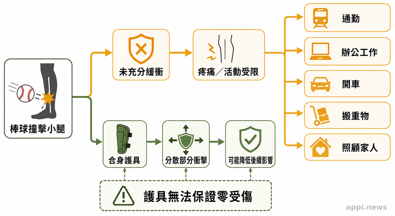 棒球撞擊小腿後分成兩條因果路徑，分別呈現未充分緩衝的生活影響，以及護具分散部分衝擊後仍可能受傷。