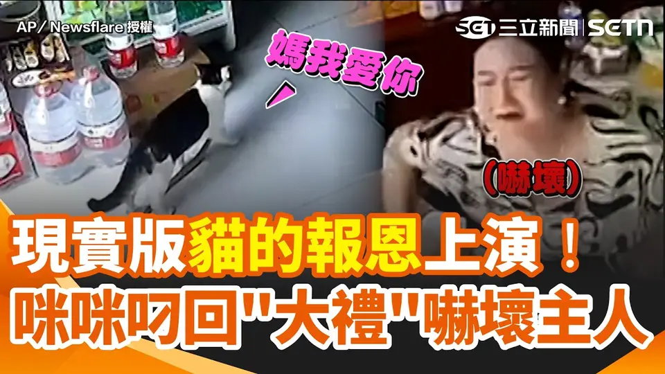 「貓的報恩」嚇壞主人！寵物貓咪叼回「大禮」送媽咪 轉頭一見「細長禮物」她尖叫驚慌逃跑XD｜三立新聞網 SETN.com