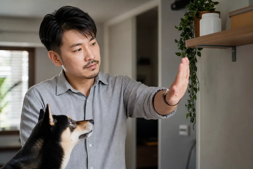 手掌停在狗狗與人用藥之間，藥品放在寵物拿不到的高處