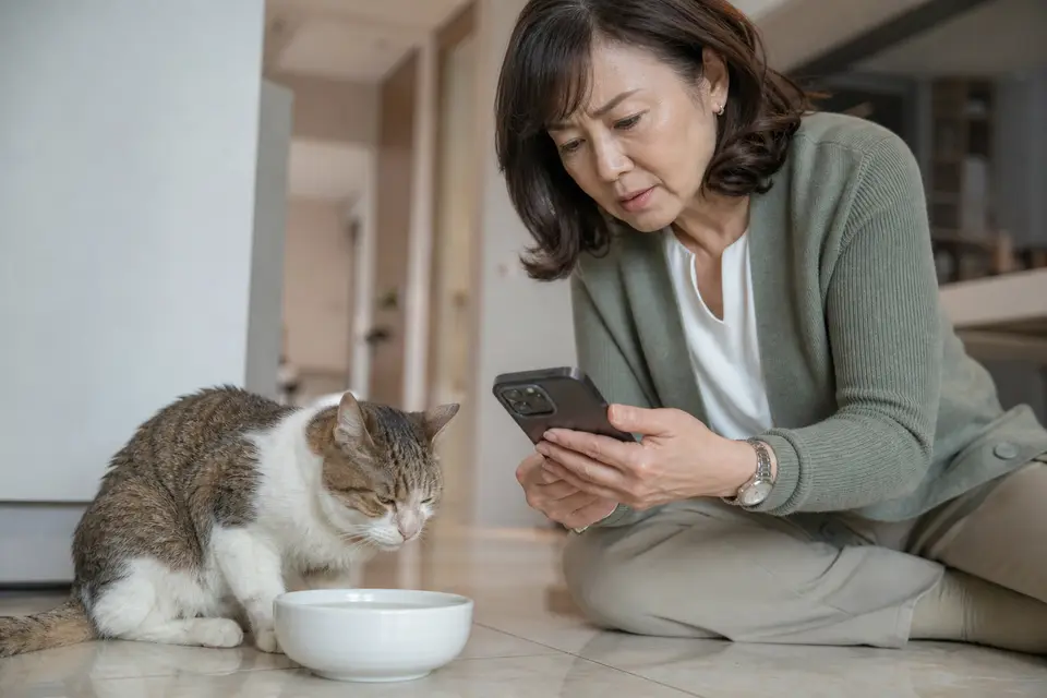貓咪在水碗旁顯得虛弱，飼主查看牙齦與手機上的動物醫院電話，準備送醫（示意圖）