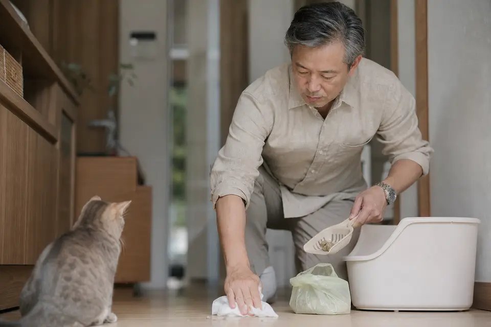 飼主沒有責罵貓咪，而是安靜清理排泄地點並整理貓砂盆