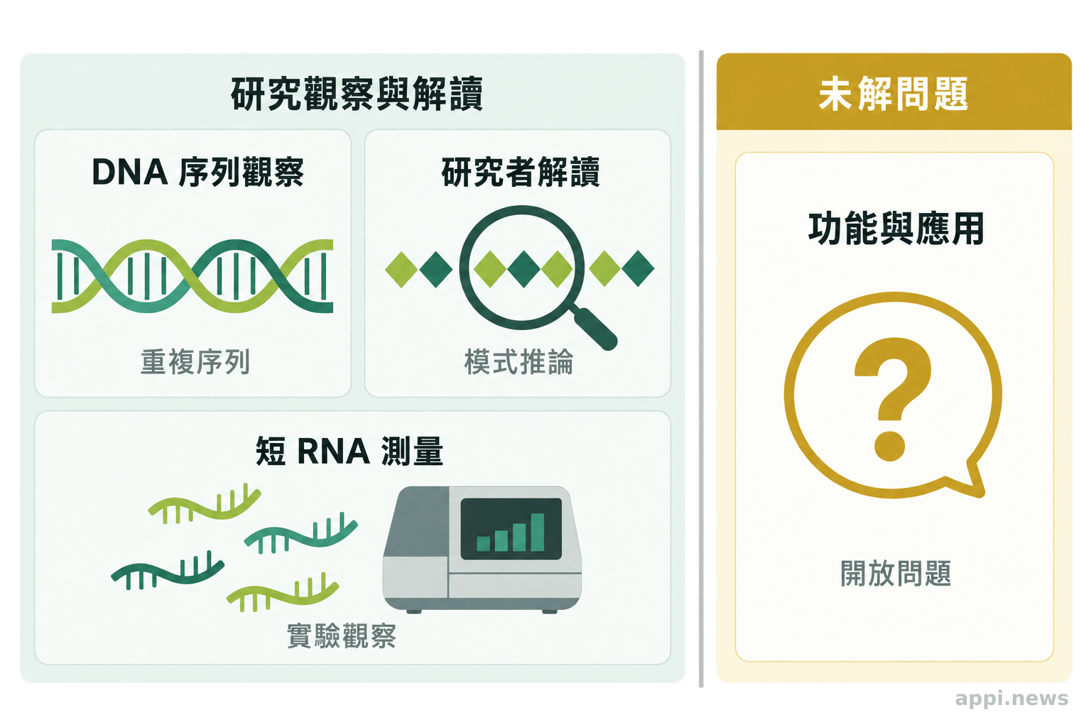 證據圖分列 DNA 序列觀察、研究者解讀、短 RNA 實驗測量，以及尚未驗證的功能與應用假設，並標出未解問題的界線。