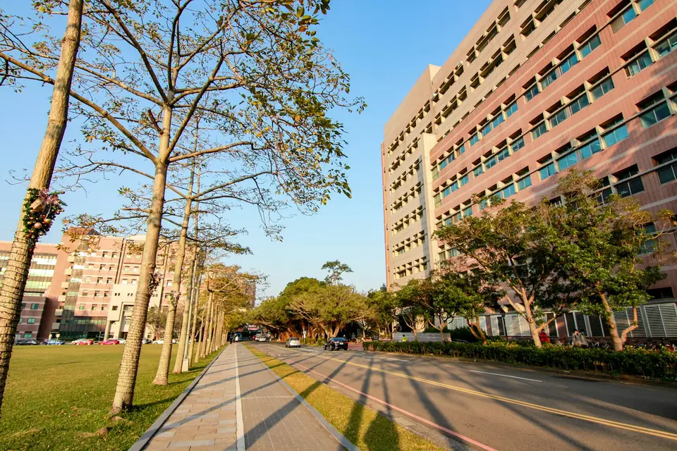 台灣醫院研究人員審查臨床試驗資料與醫療器材法規文件（示意圖）