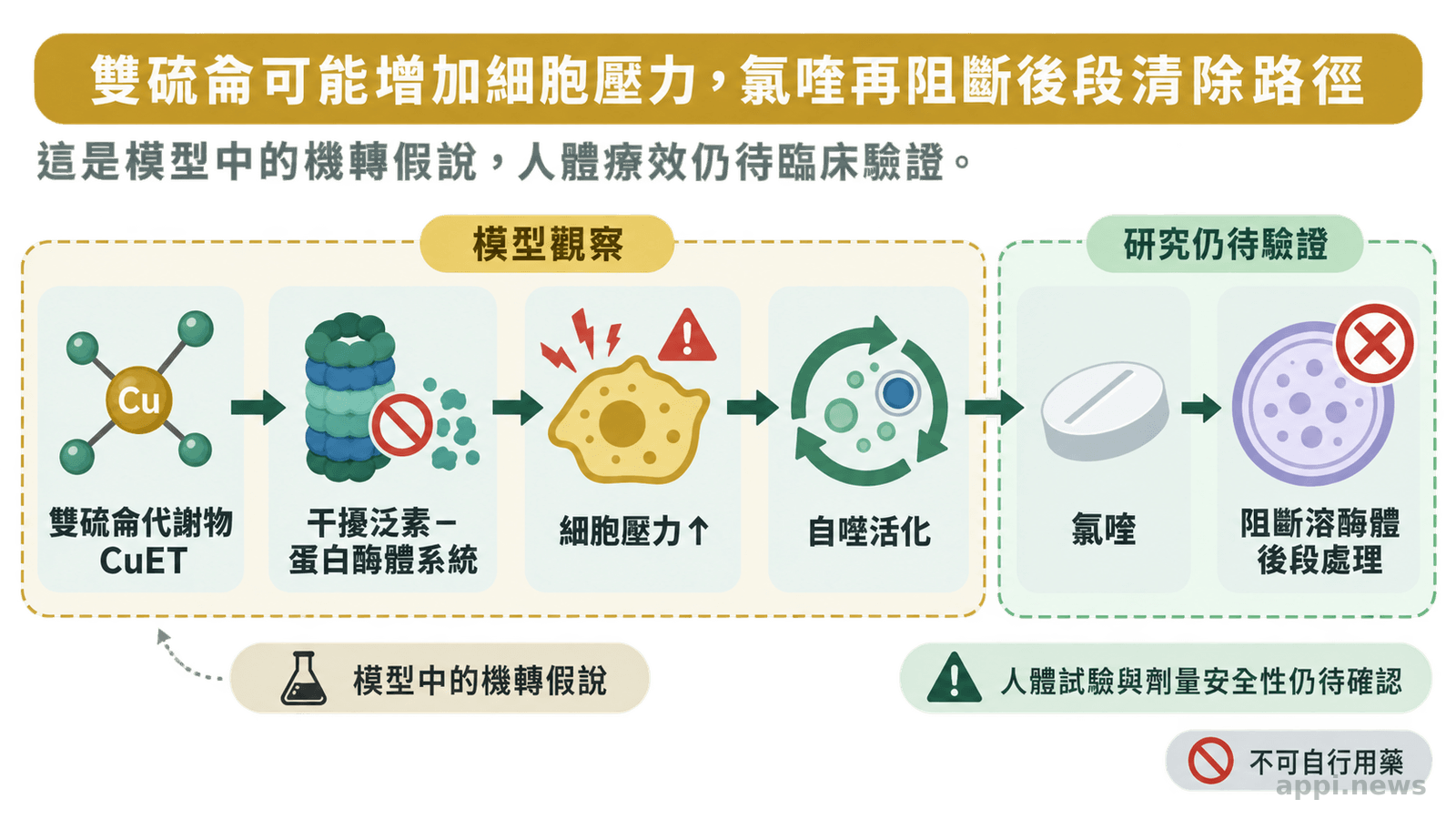 示意圖以箭頭呈現 CuET、蛋白酶體、自噬與氯喹阻斷溶酶體處理之間的可能關係