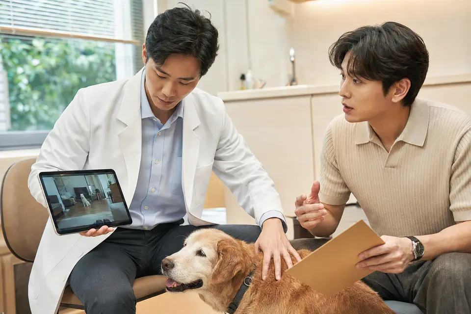 獸醫師檢視狗狗的行為影片與病史，評估幼犬、高齡犬、孕犬和慢性病犬的不同風險（示意圖）