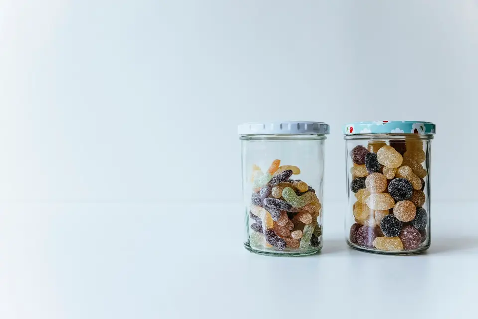 桌面分開放著無糖食品、洋蔥大蒜、咖啡與酪梨，旁邊有狗狗禁止接觸的提示