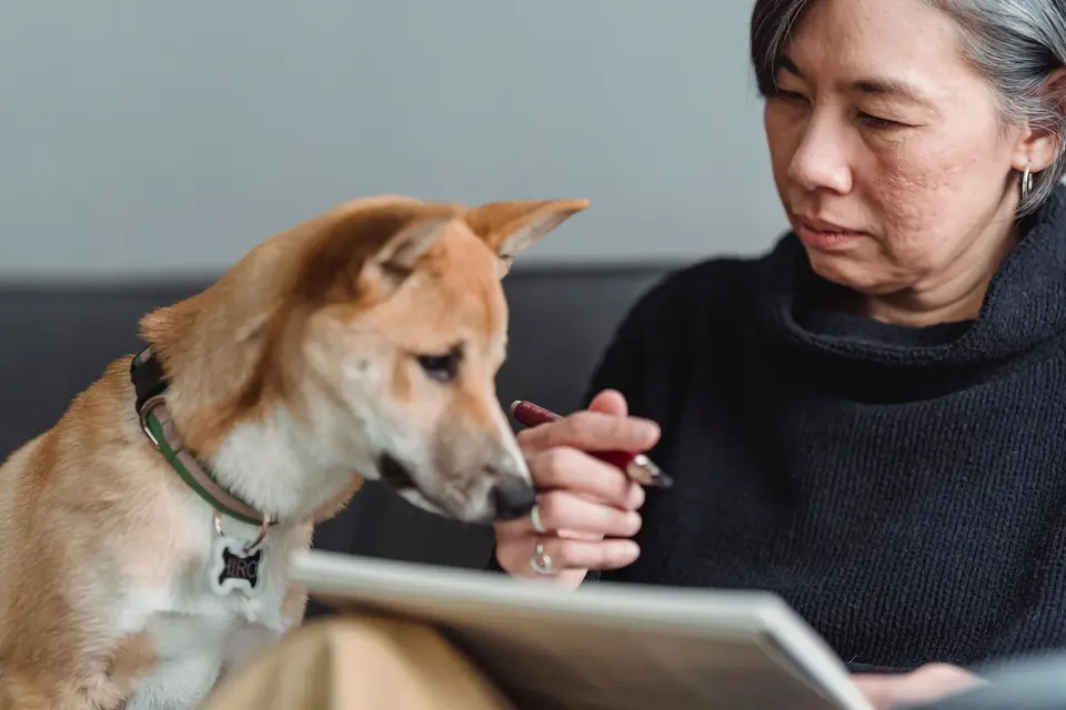 飼主在家中查看狗狗食物安全清單，旁邊放著動物醫院聯絡資訊