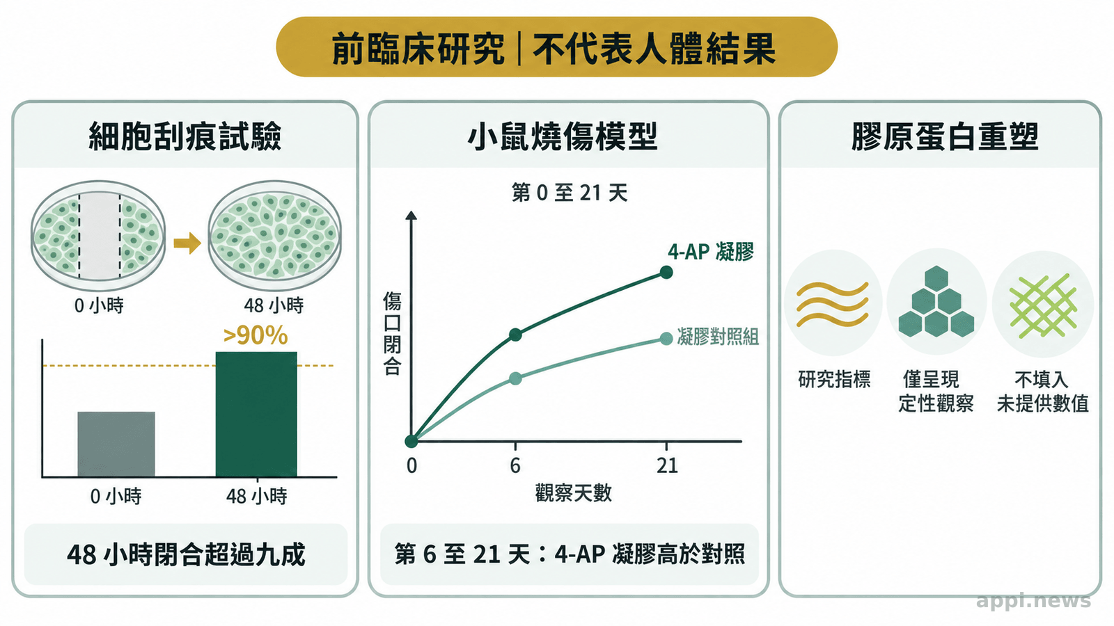 圖表分區呈現細胞刮痕試驗、小鼠燒傷模型第0至21天傷口閉合趨勢,以及膠原蛋白重塑指標