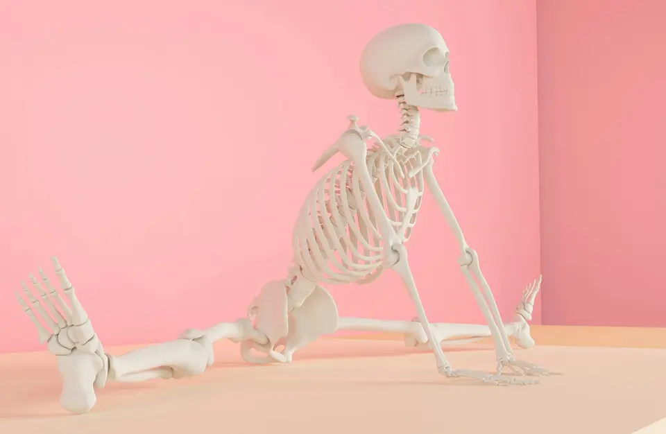3D 示意圖：人體骨骼模型以伸展姿勢呈現，粉紅色背景，用於說明骨骼結構與健康