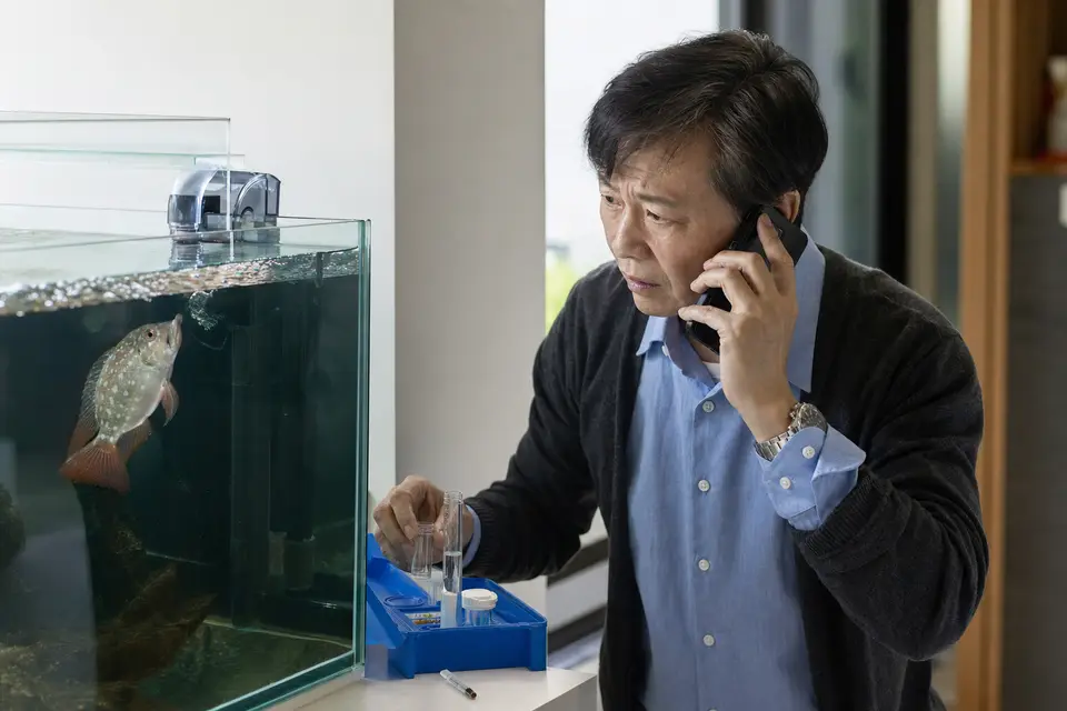 觀賞魚在水面附近急促呼吸，旁邊放著水質檢測工具，呈現需要立即尋求魚病專業協助的警訊