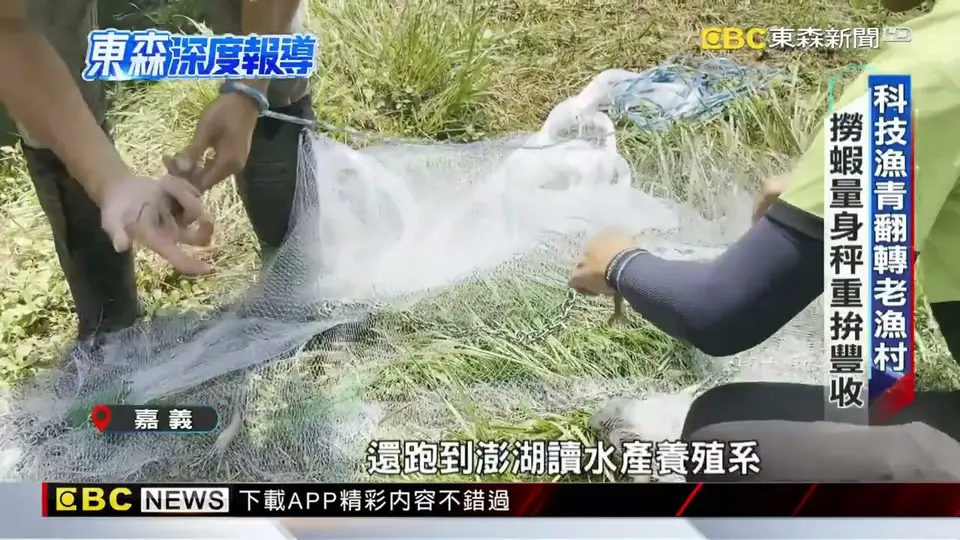 漁電共生難養魚？光電板下有美味 紅蟳 泰國蝦照樣肥@newsebc