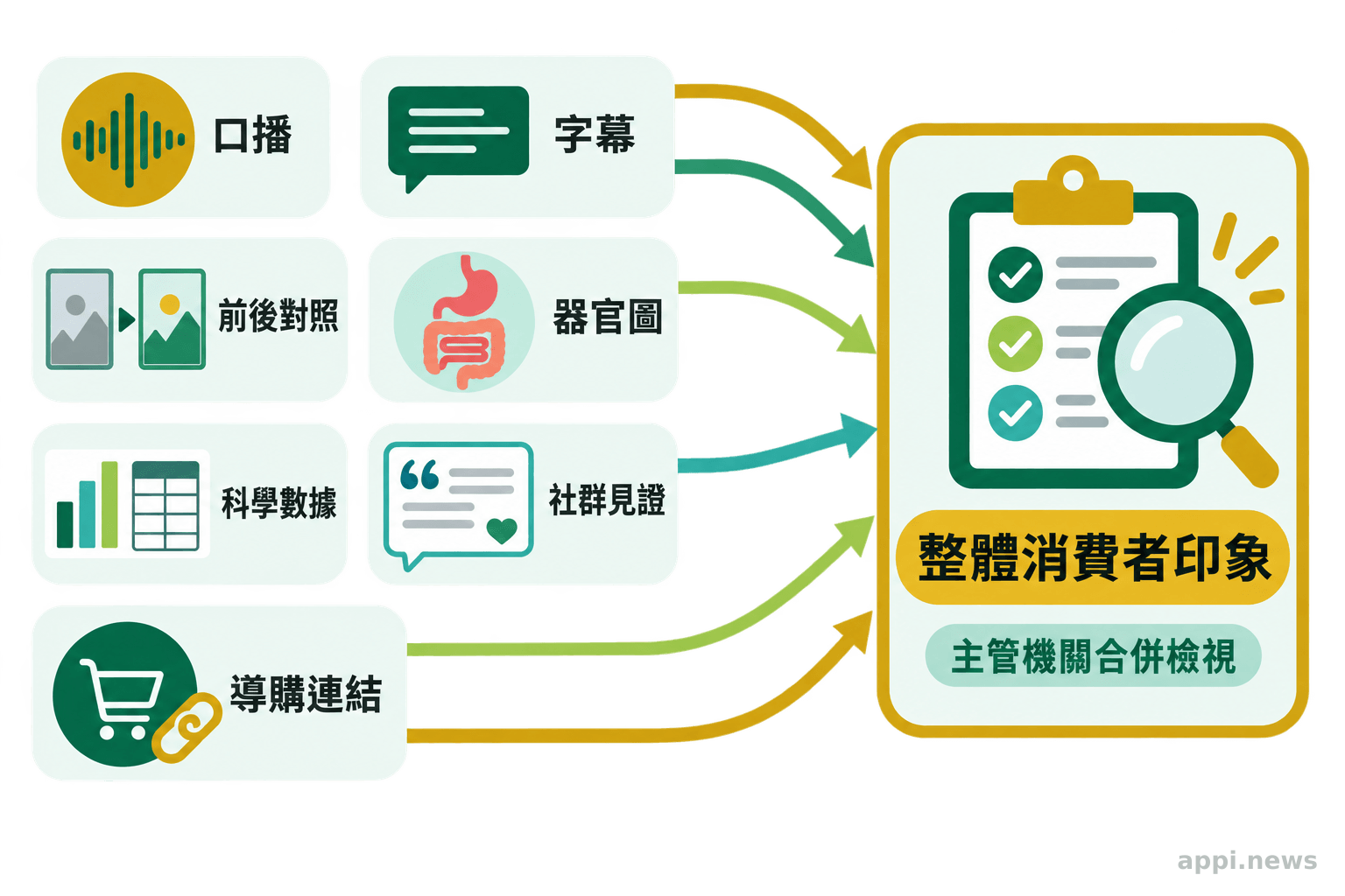 口播、字幕、前後對照、器官圖、科學數據、社群見證與導購連結，沿箭頭匯入整體印象審查。