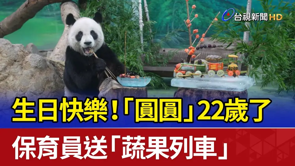 生日快樂！「圓圓」22歲了 保育員送「蔬果列車」