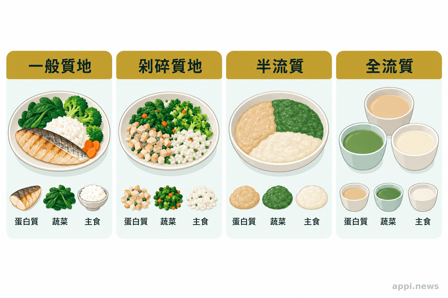 四格餐點比較普通、剁碎、半流質與全流質質地，各自搭配蛋白質、蔬菜和主食。