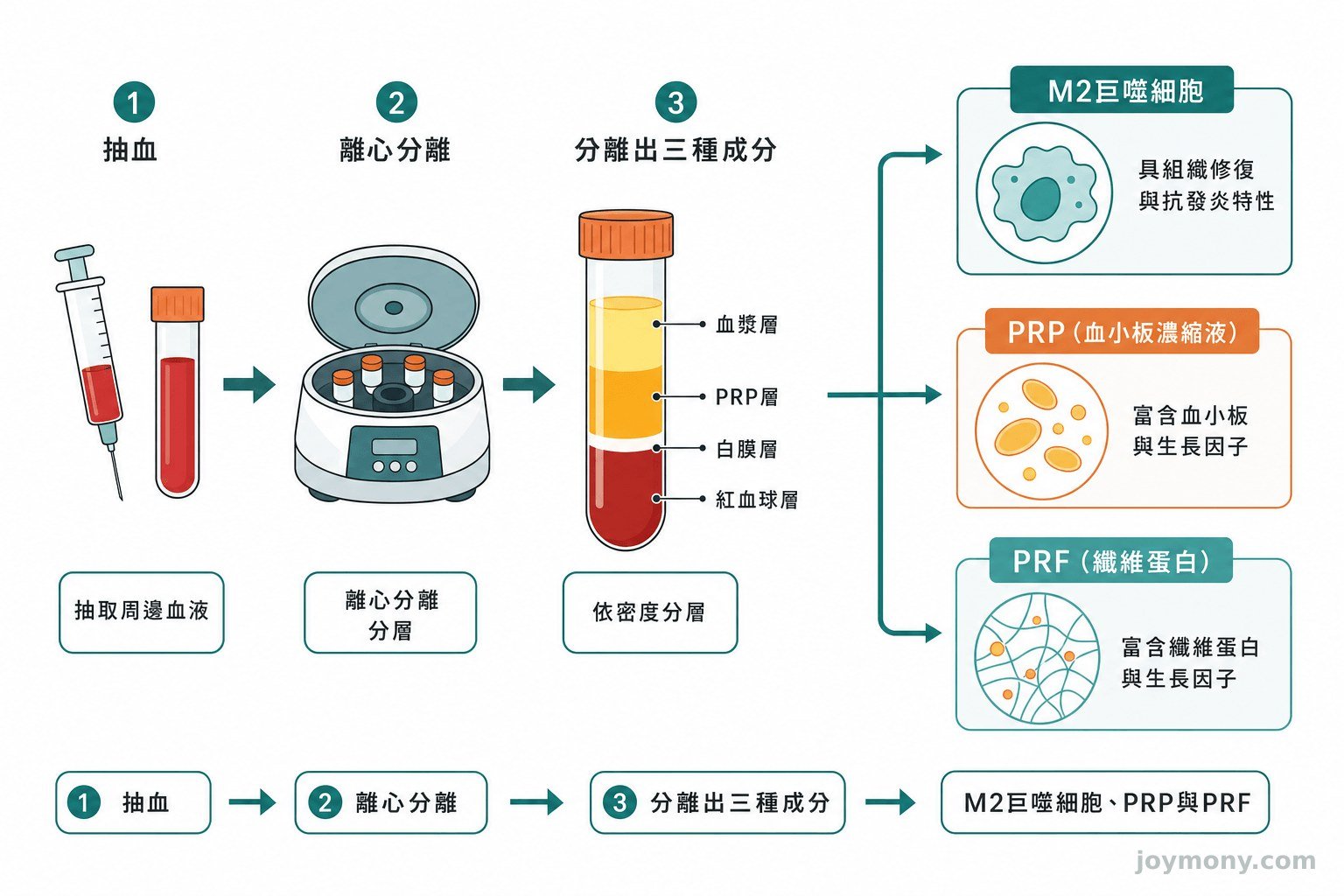 原文將作用機轉、疼痛改善、軟骨影像與人工關節置換率分層的證據圖