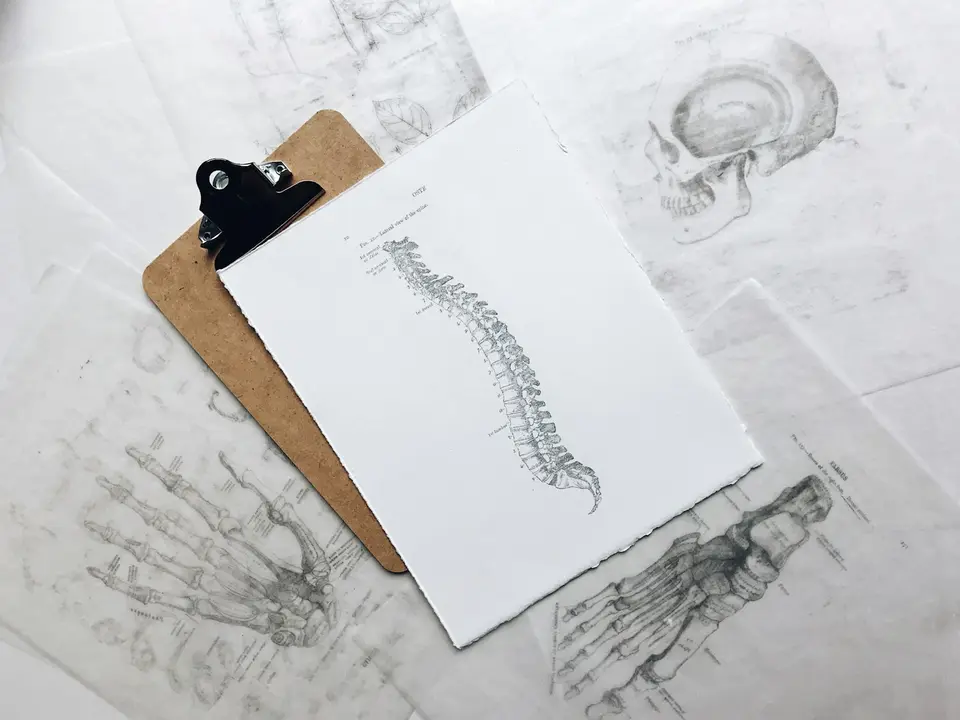 桌上有日曆、症狀紀錄本、腰椎模型與筆，象徵記錄下背痛變化並安排回診
