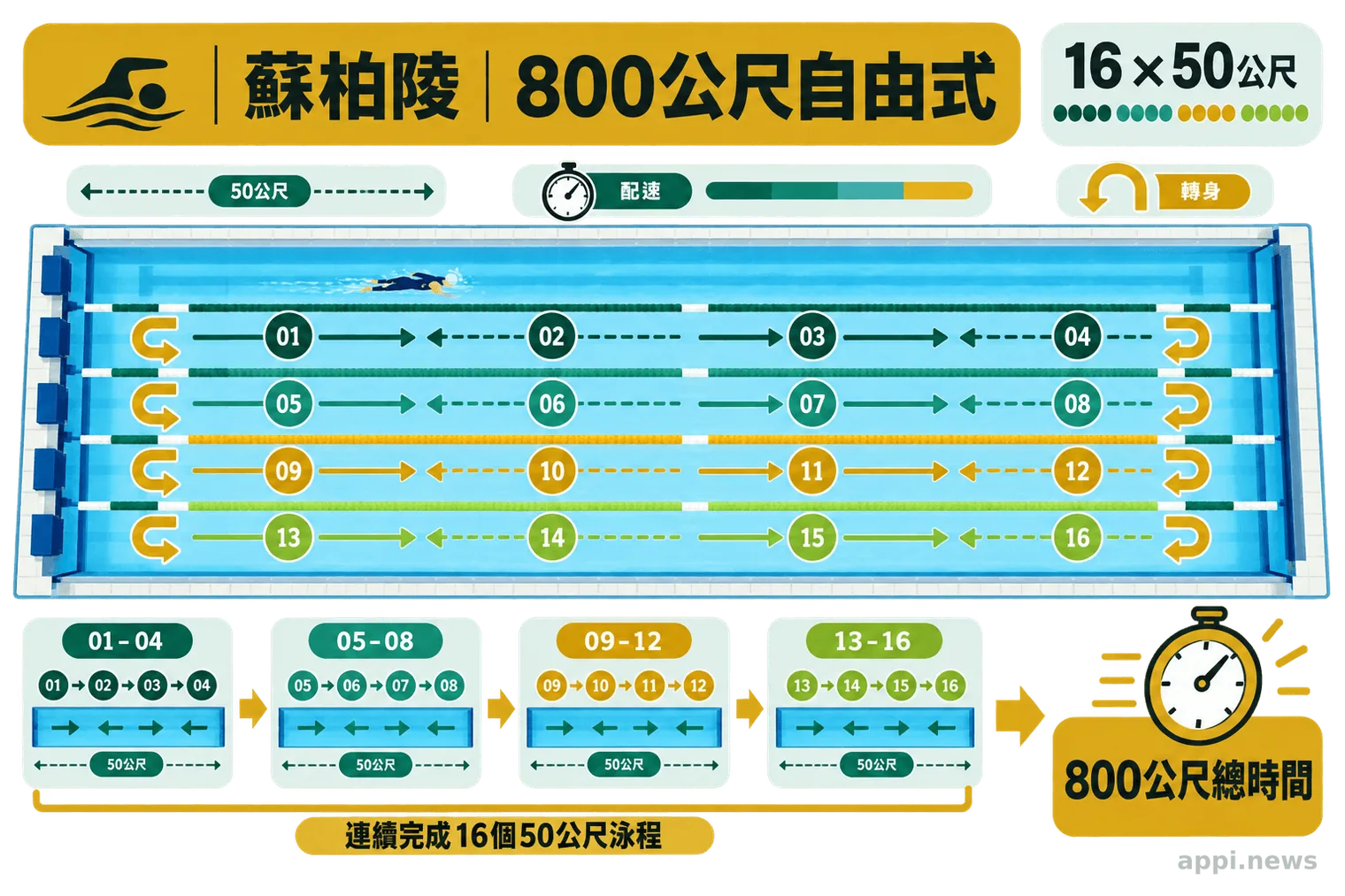 示意圖以泳池方向箭頭呈現800公尺自由式由16個50公尺泳程連續完成,並標示反覆轉身與配速