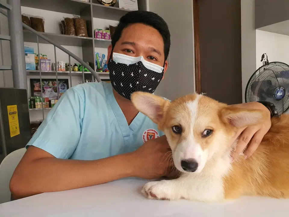 飼主與獸醫師一起確認幼犬疫苗常見問題與回診日期