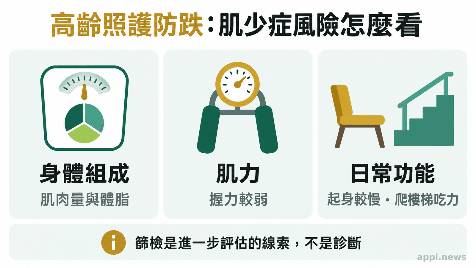 資訊圖以身體組成、肌力與日常身體功能三個並列面向，說明肌少症風險需要綜合判讀。