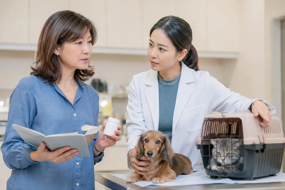 動物醫院內獸醫師評估狗狗與貓咪，飼主拿著健康紀錄，呈現不同年齡與病史需要個別評估（示意圖）